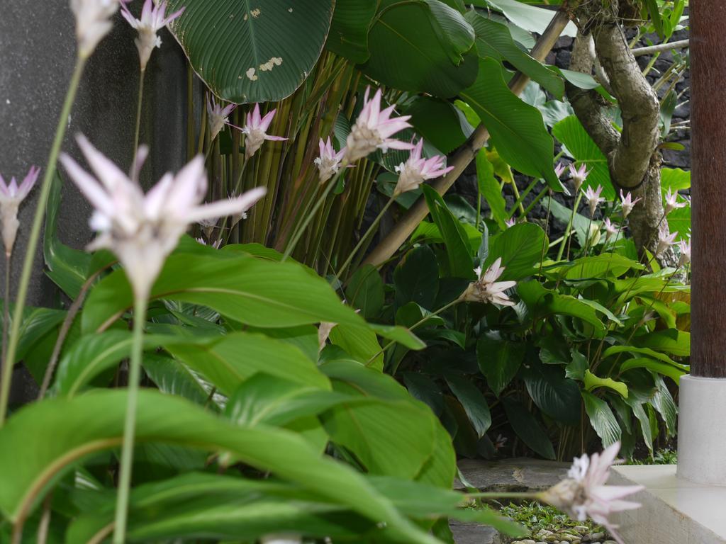 Rumah Dadong Ubud