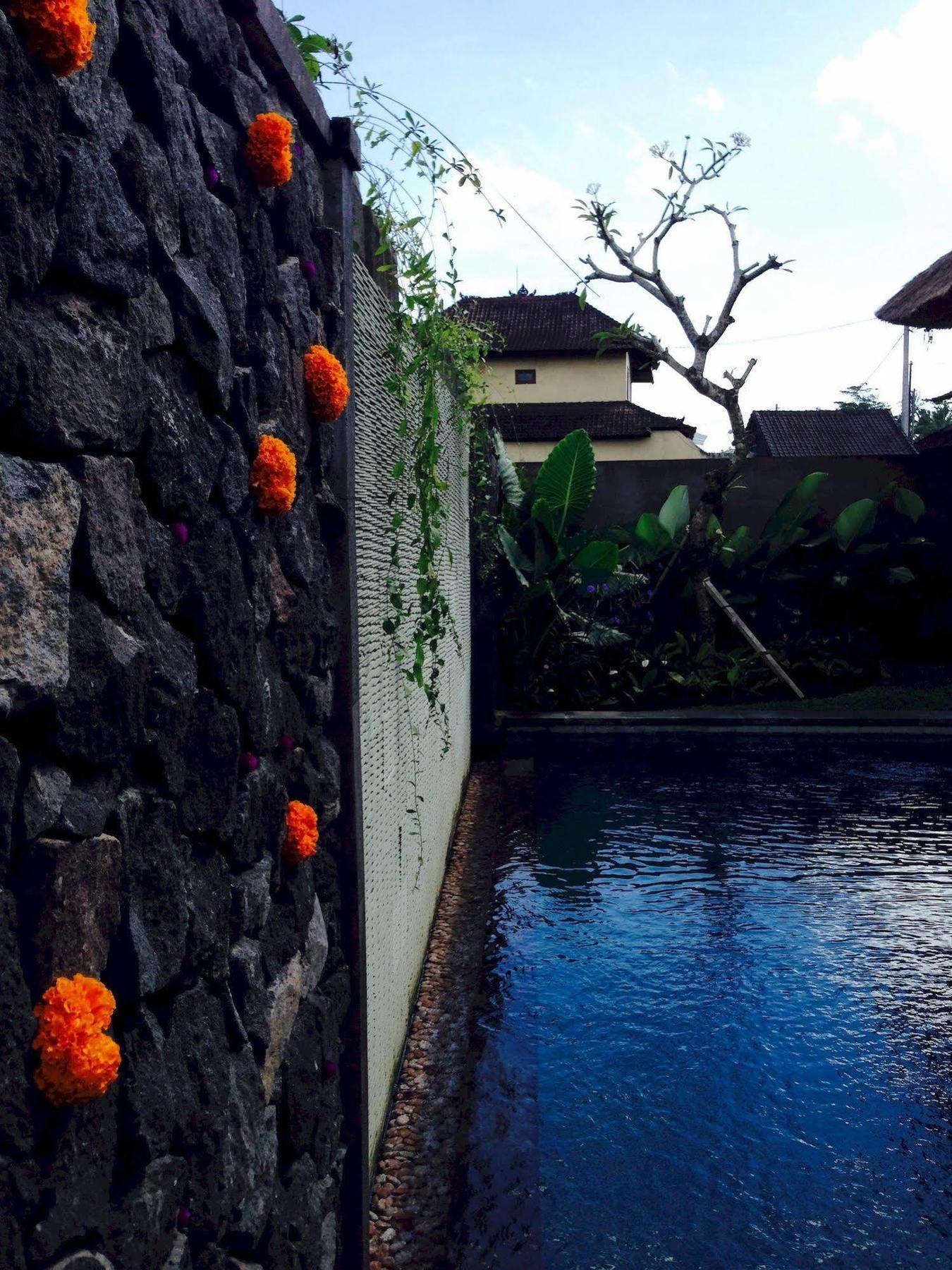 Villa Rumah Dadong